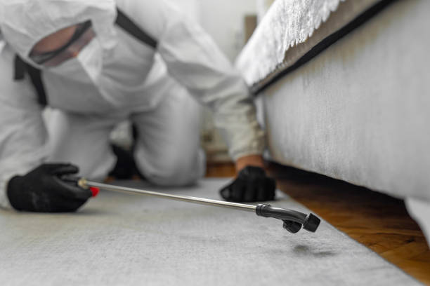 Professional Bed Bug Control technician working in New Kent County County, VA